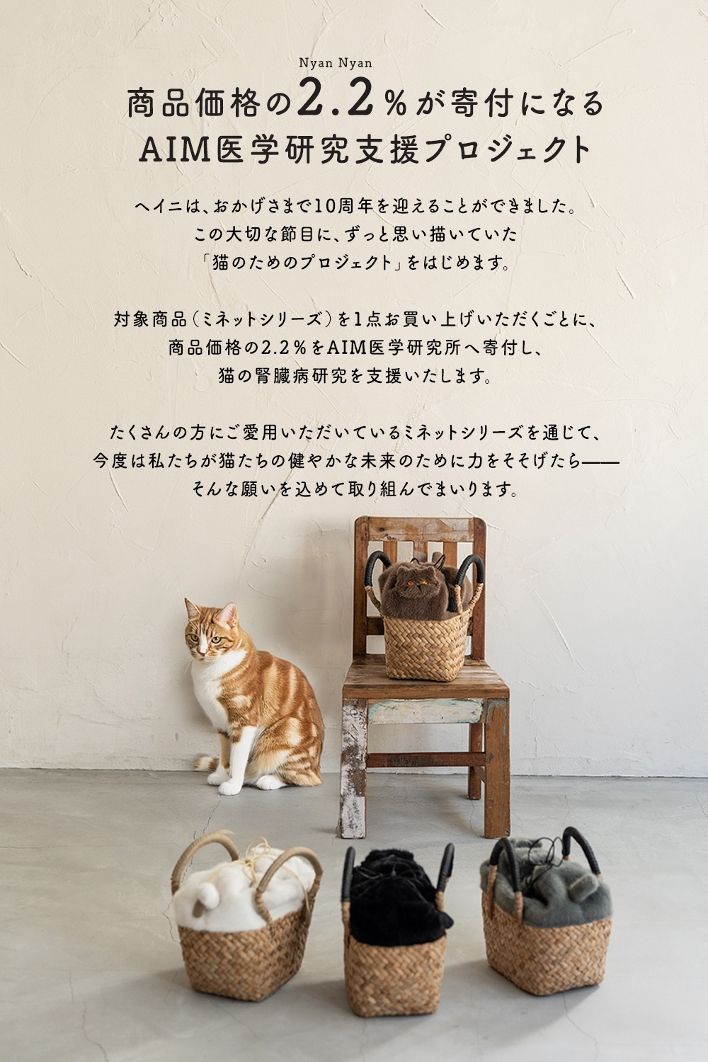 HAYNI　AIM医学研究支援プロジェクト