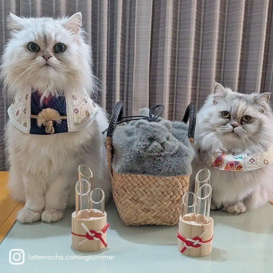 HAYNI バッグ 猫 ねこ 猫の日 2月22日