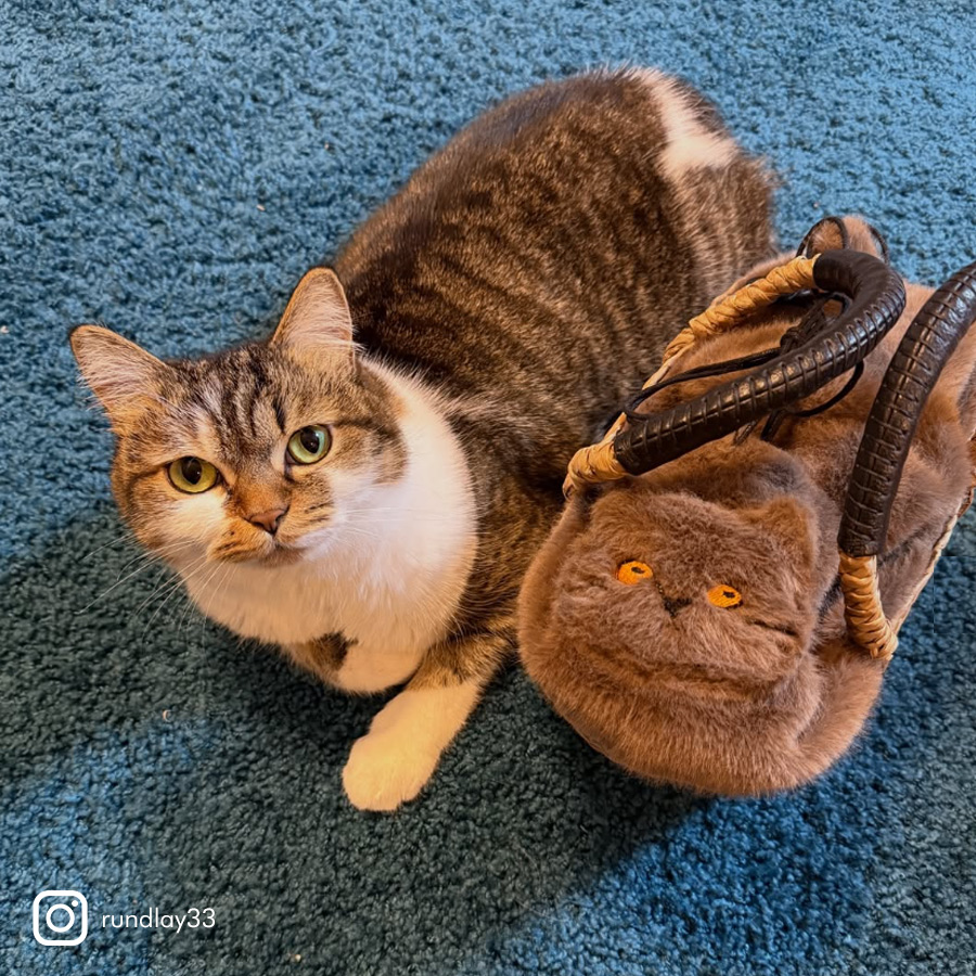 HAYNI バッグ 猫 ねこ 猫の日 2月22日