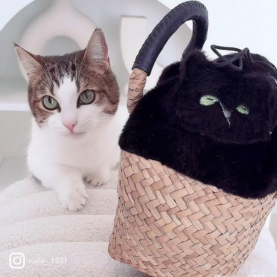 HAYNI バッグ 猫 ねこ 猫の日 2月22日