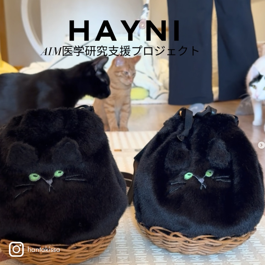 HAYNI バッグ 猫 ねこ 猫の日 2月22日