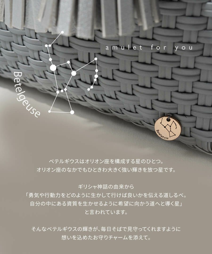 メルカドバッグ　bacerra S ベセラ S