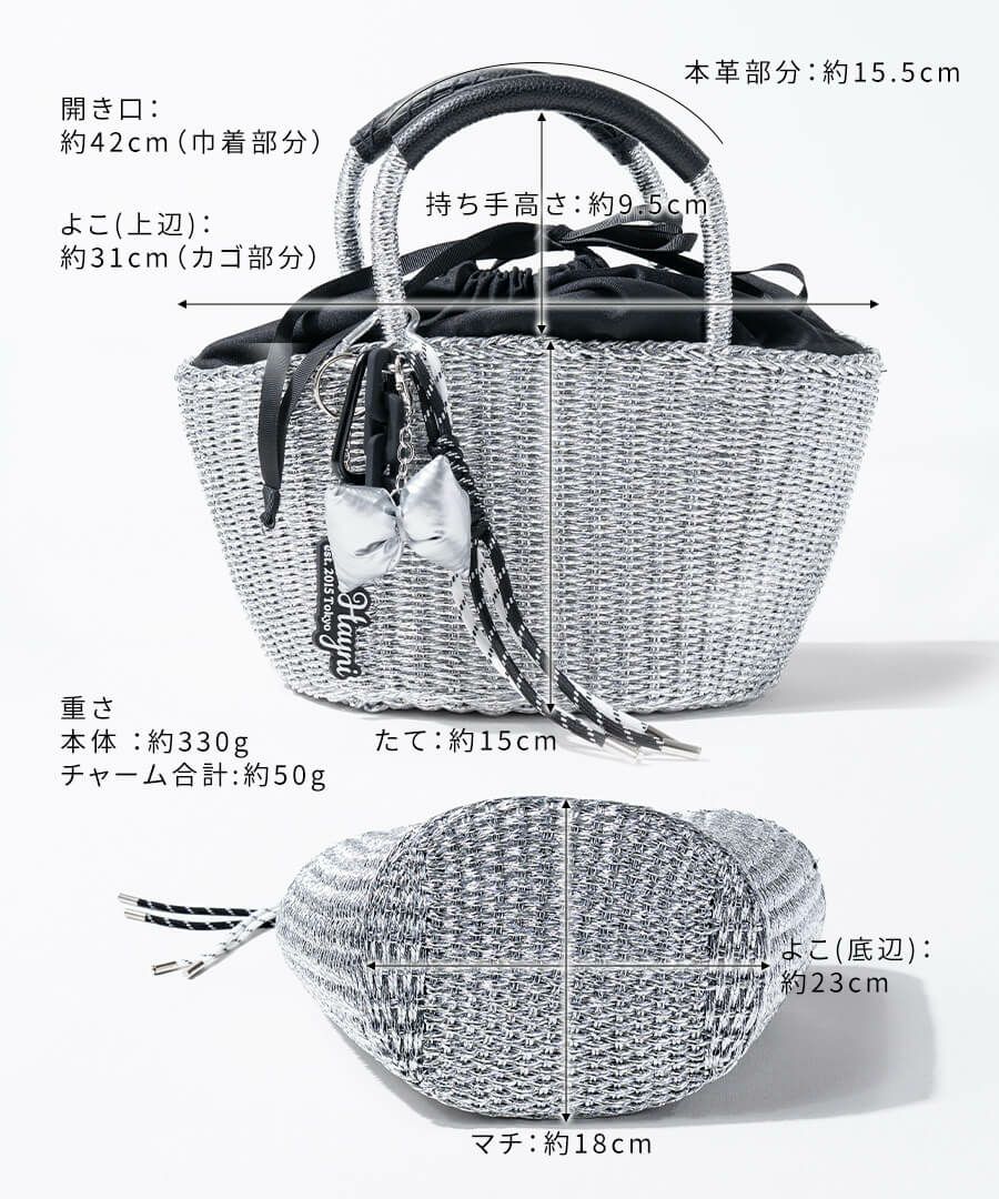 バッグ　サイズ HAYNI